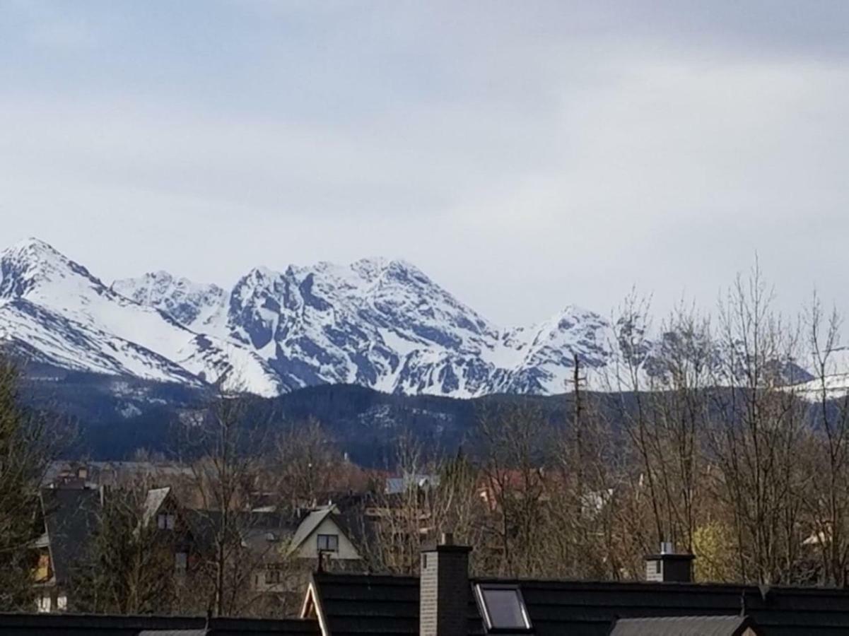 Villa Teddy Zakopane Murzasichle-Tatras Mountains Entire House To Yourself In A Quiet Neighborhood Esterno foto